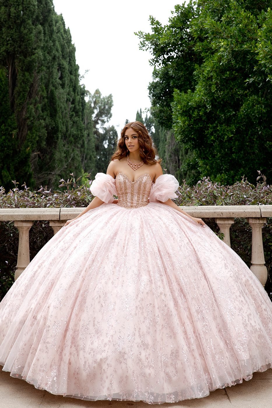 Quinceañera gown